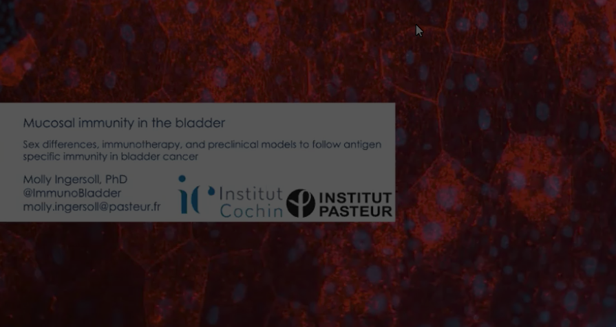 May 3, 2021 | Dissecting Mucosal Immunity in the Bladder - Molly Ingersoll, PHD